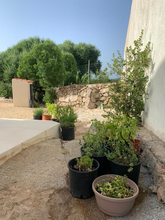 منزل الضيف رينا ماجور  في Stazzu Nuraghe Mannucciu المظهر الخارجي الصورة